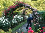 Rose Garden Picnic&nbsp;2008