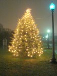 Tree Lighting